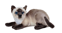 Мягкая игрушка Кошка сиамская 27см LW602719915-BR