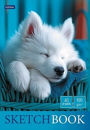 Блокнот SketchBook 40л А5ф без линовки 100г/кв.м-Носики и ушки- 087786